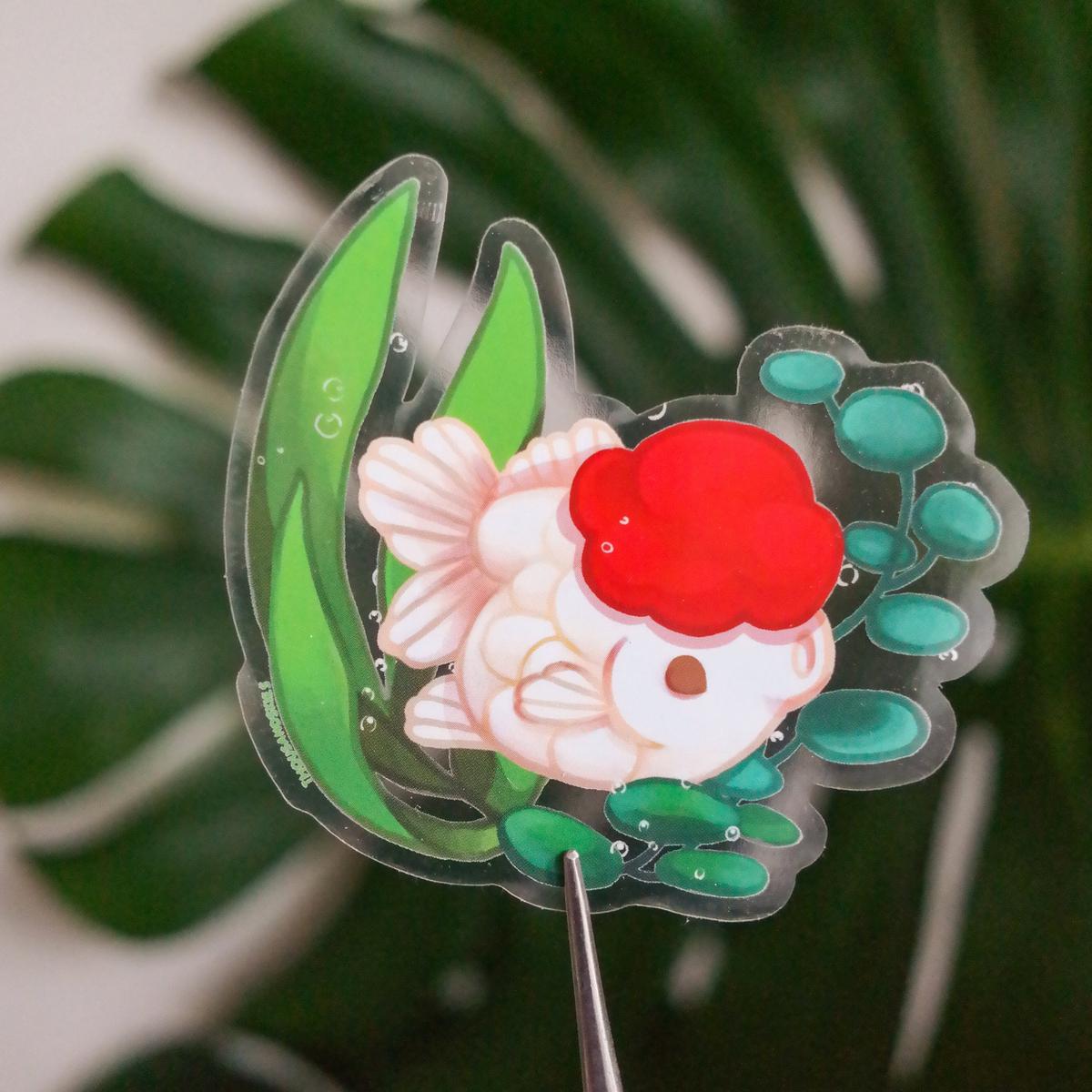 Fancy Goldfish Red Cap Oranda Clear Sticker