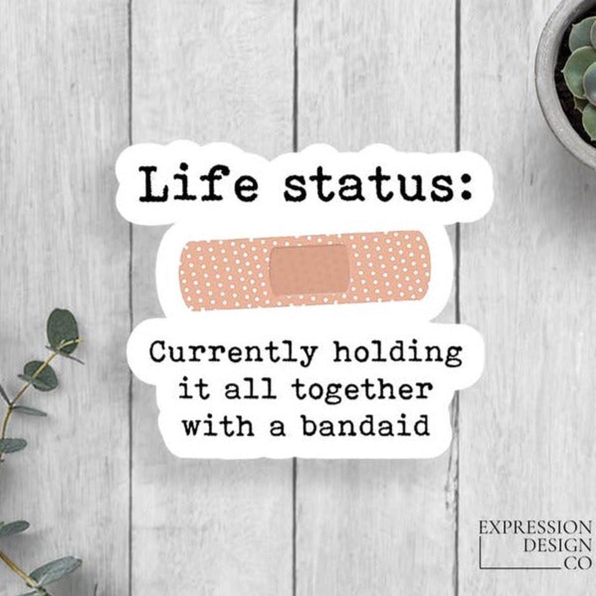 Life Status Vinyl Sticker