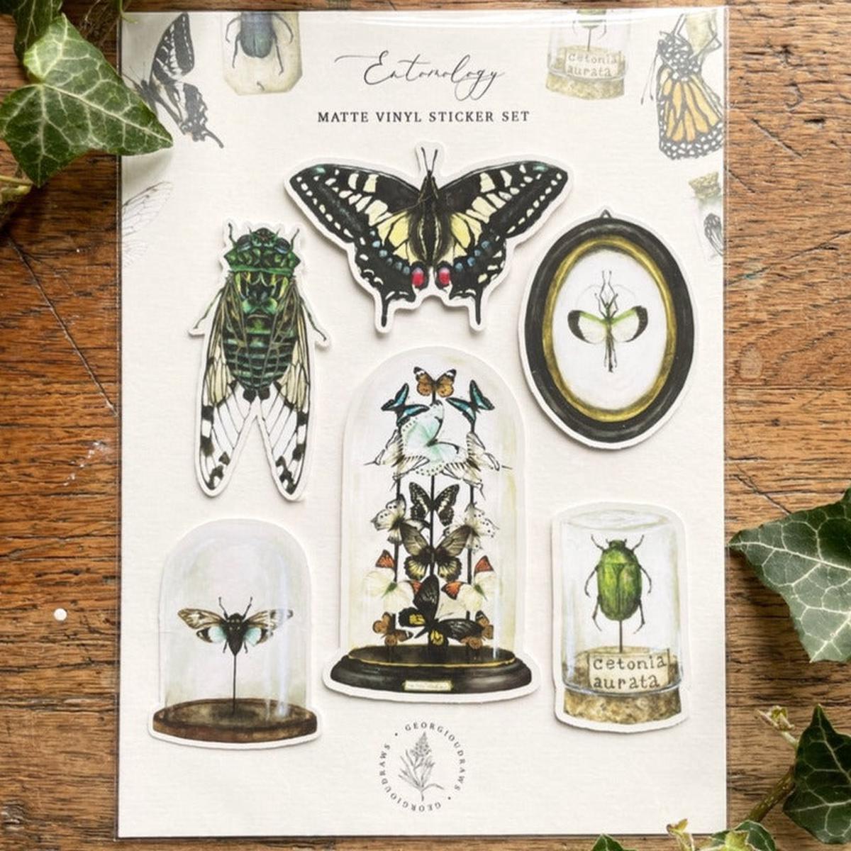 Entomology Vinyl Sticker Set